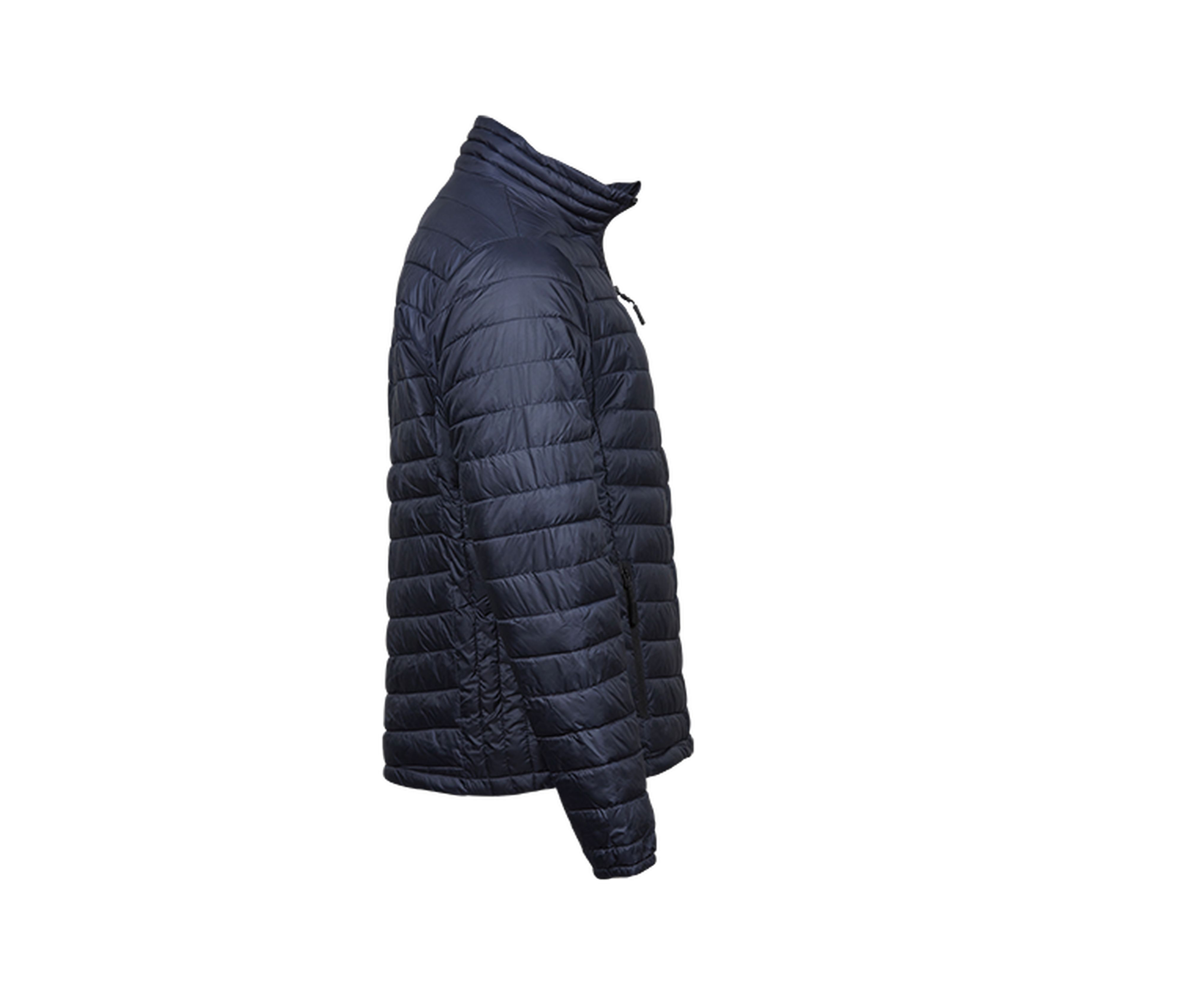 ZEPELIN JACKET