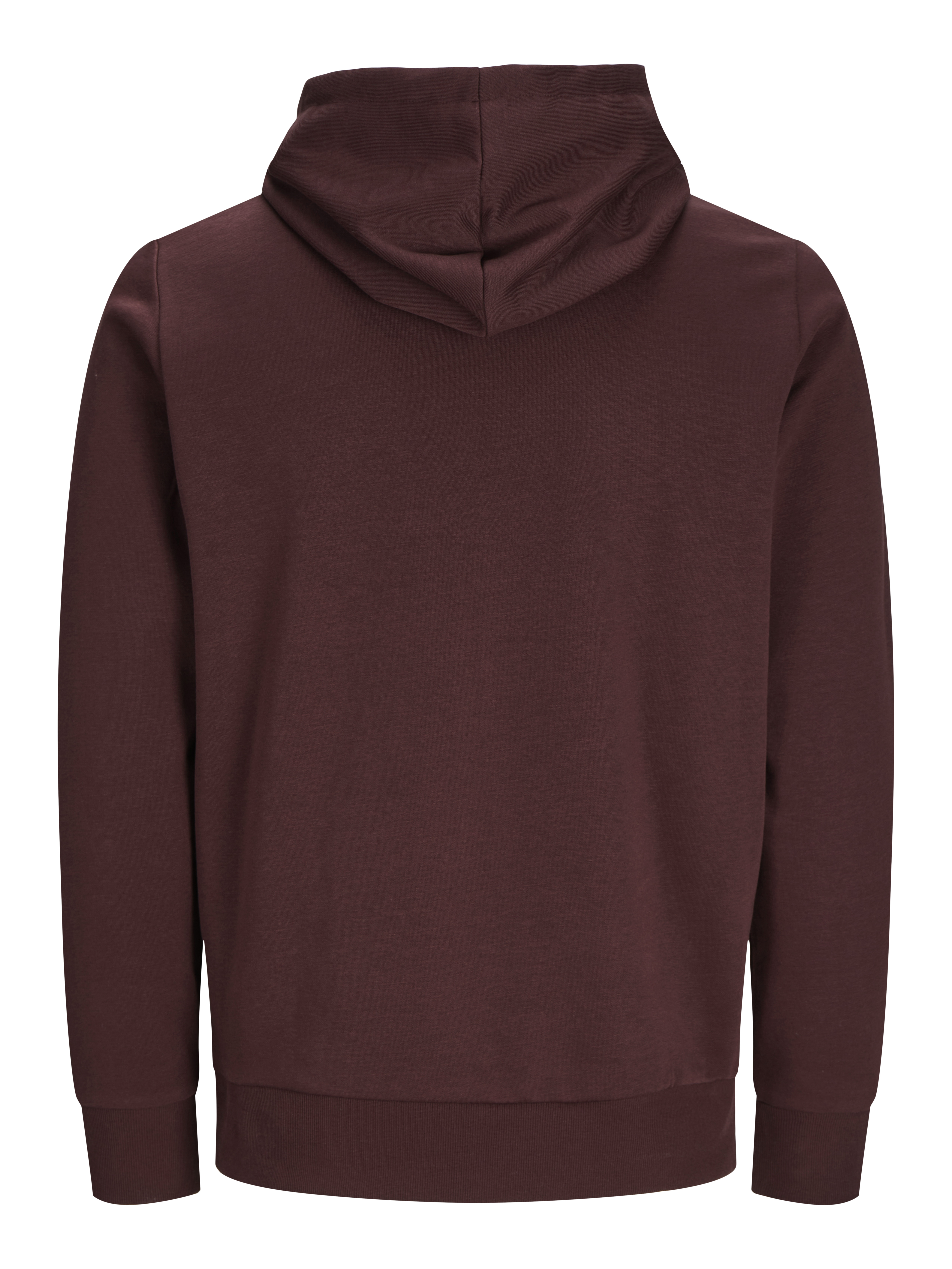 DAY ZIP HOOD