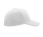 LIBERTY FIVE CAP