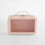 BOUTIQUE CLEAR WINDOW TRAVEL CASE