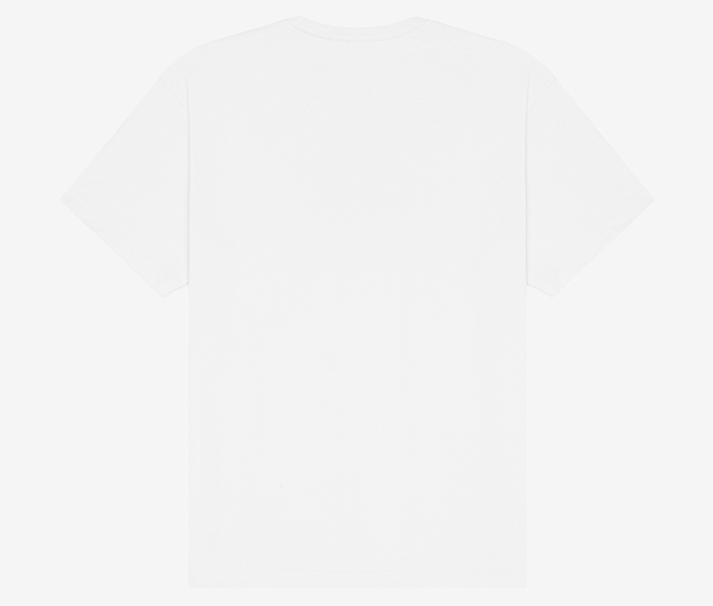 UNISEX SHORT SLEEVE HEAVY TEE