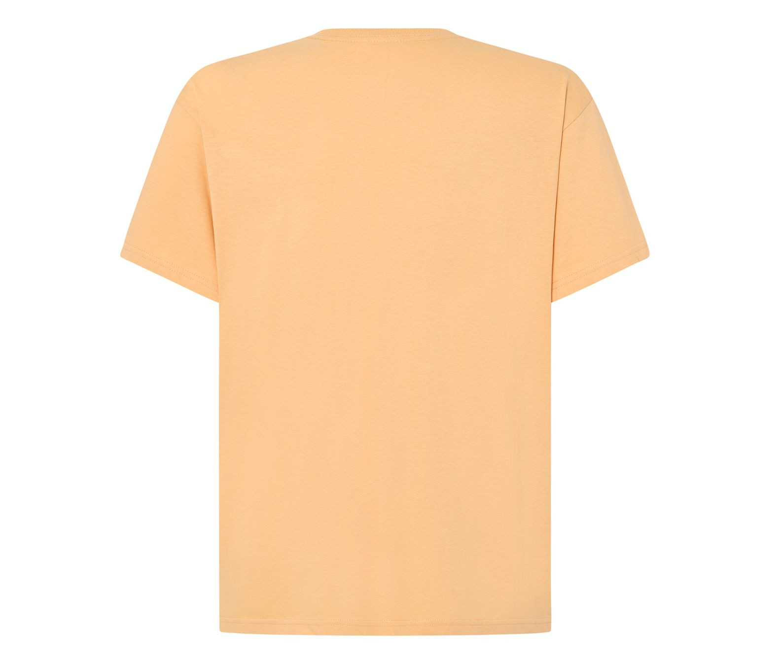 MAN REGULAR T-SHIRT
