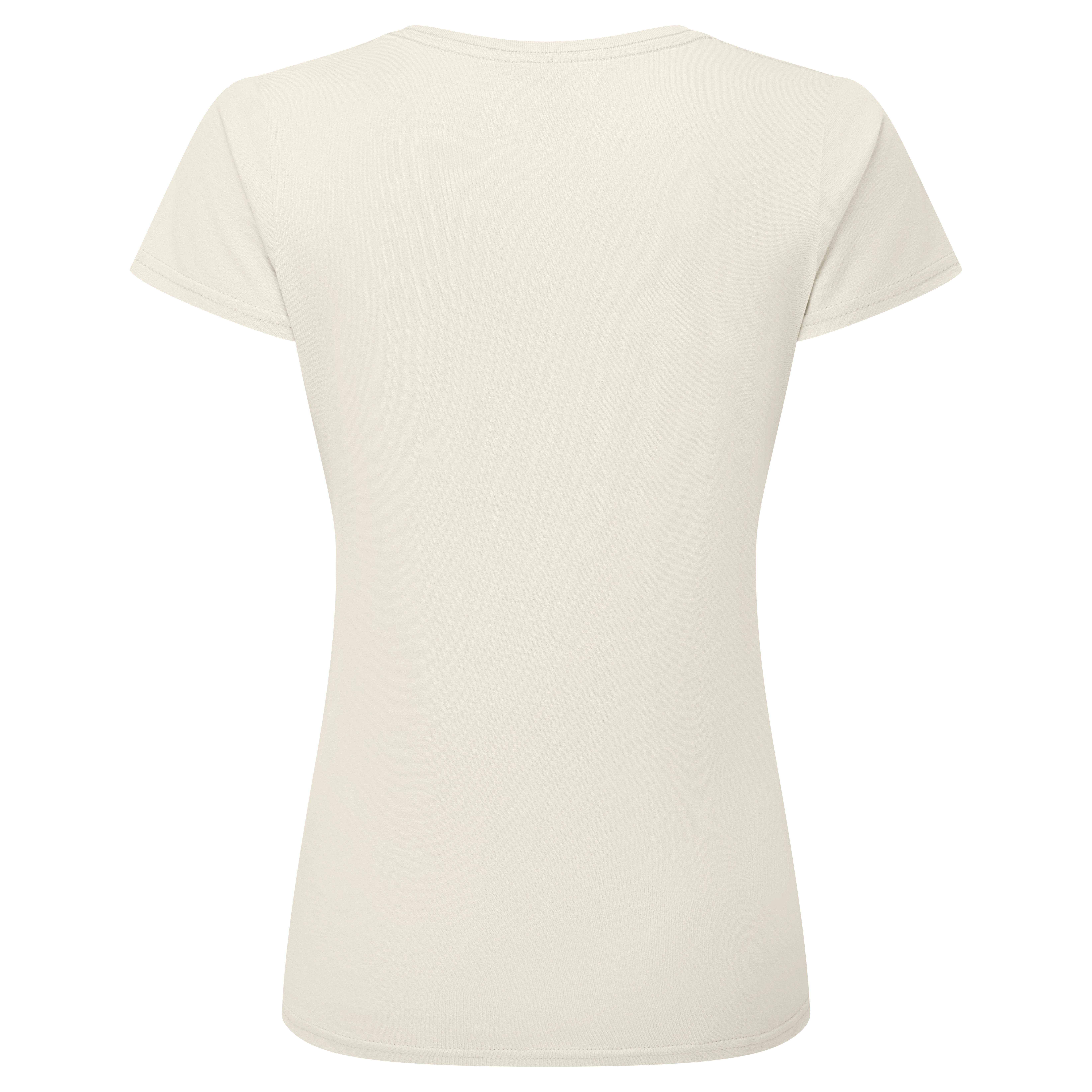 LADIES ICONIC 195 RINGSPUN PREMIUM T