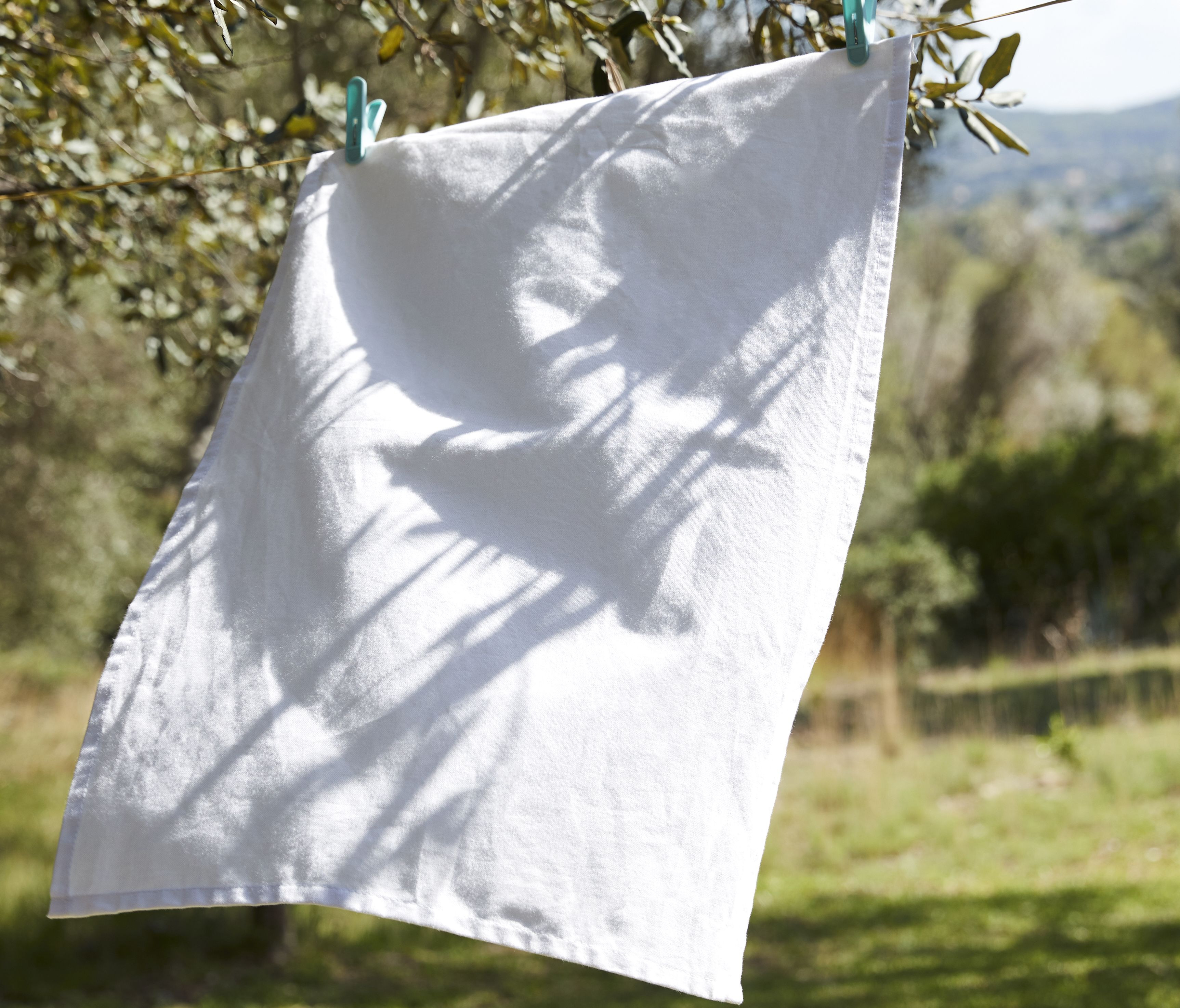 TEA TOWEL