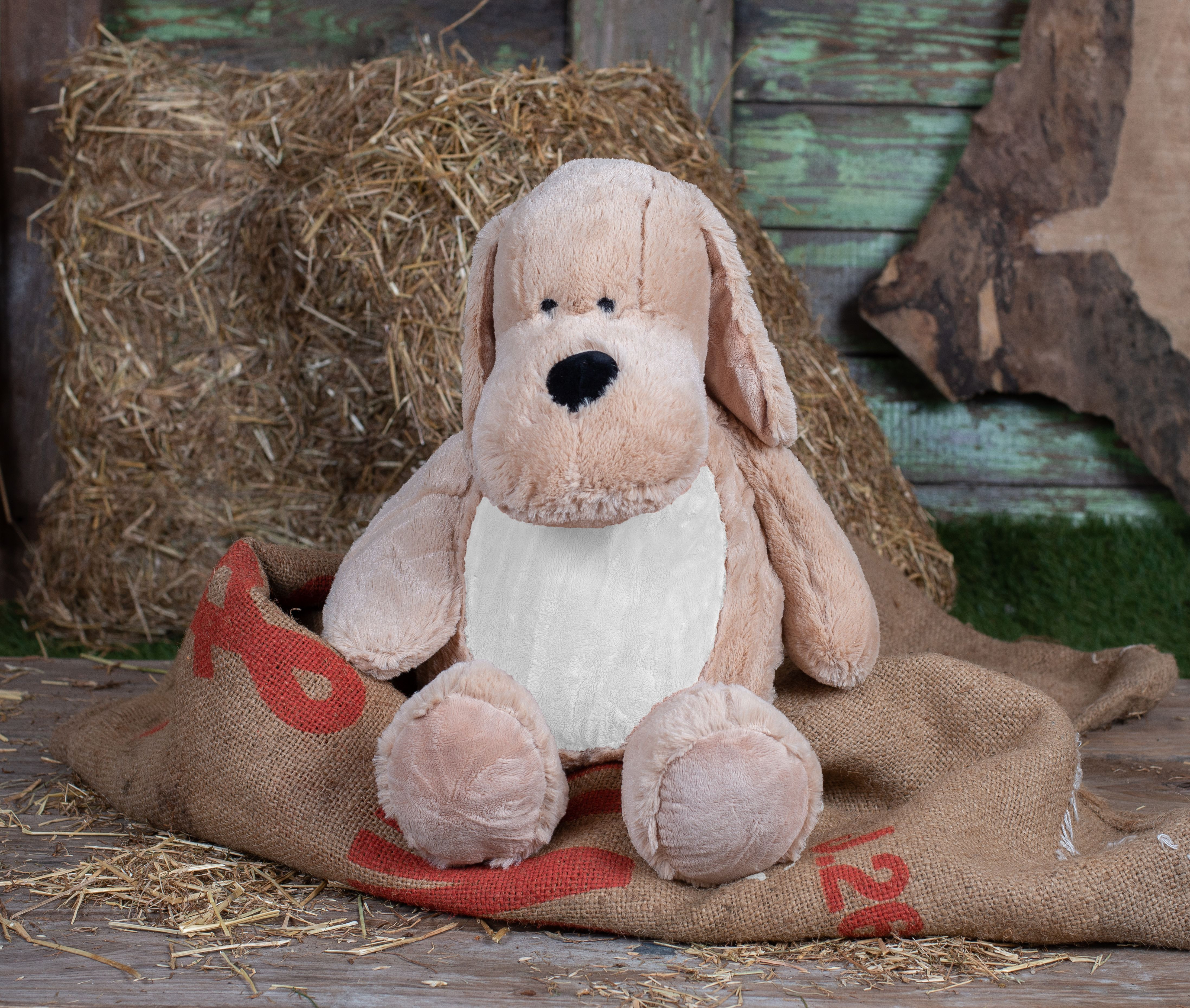 ZIPPIE DOG