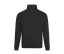SOPHOMORE 1/4 ZIP SWEAT