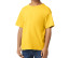SOFTSTYLE® MIDWEIGHT YOUTH T-SHIRT