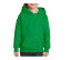HEAVY BLEND YOUTH HOODED SWEATSHIRT