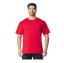 SOFTSTYLE MIDWEIGHT ADULT NO LABEL ENZYME WASH T-SHIRT