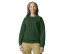 SOFTSTYLE MIDWEIGHT FLEECE ADULT CREWNECK