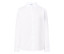 CASUAL & BUSINESS SHIRT LADY POPLIN