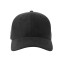 FAM-S