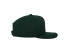 CLASSIC SNAPBACK
